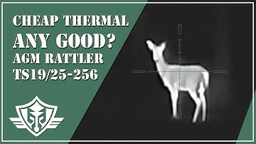 AGM Rattler TS19-256 and TS25-256 Thermal Scope Review