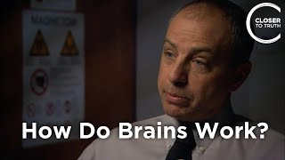 John Mazziotta  How Do Human Brains Work?