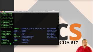 COS 217 Fall 2020 Lecture1B - bash Walkthrough