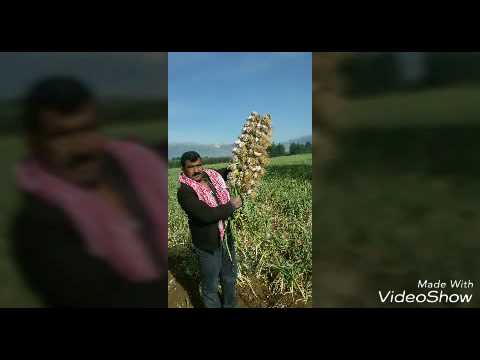 انا اشتاقيت الك يا شمعة البيت