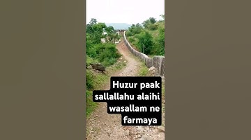 duniya main jo bhi nikah karta hai ye char chiz dekh kar krta h/.. Huzur paak sallallaahu farmate h#