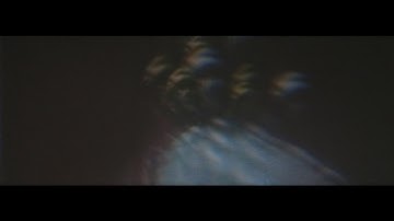 Chester Watson - Life Wrote Itself [Official Music Video]