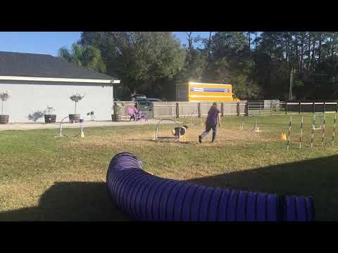 IMG 6688