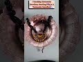 #jewellerydesign|| I Teaching Assamese Jewellery Dhulbiri,Junbiri And Terracotta Jewellery Making