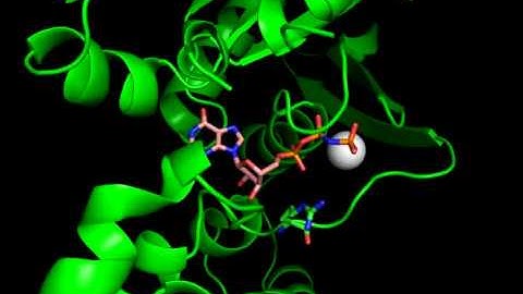 CHEM 444 - PyMol -Making a G-alpha Movie - Finished Tutorial Movie