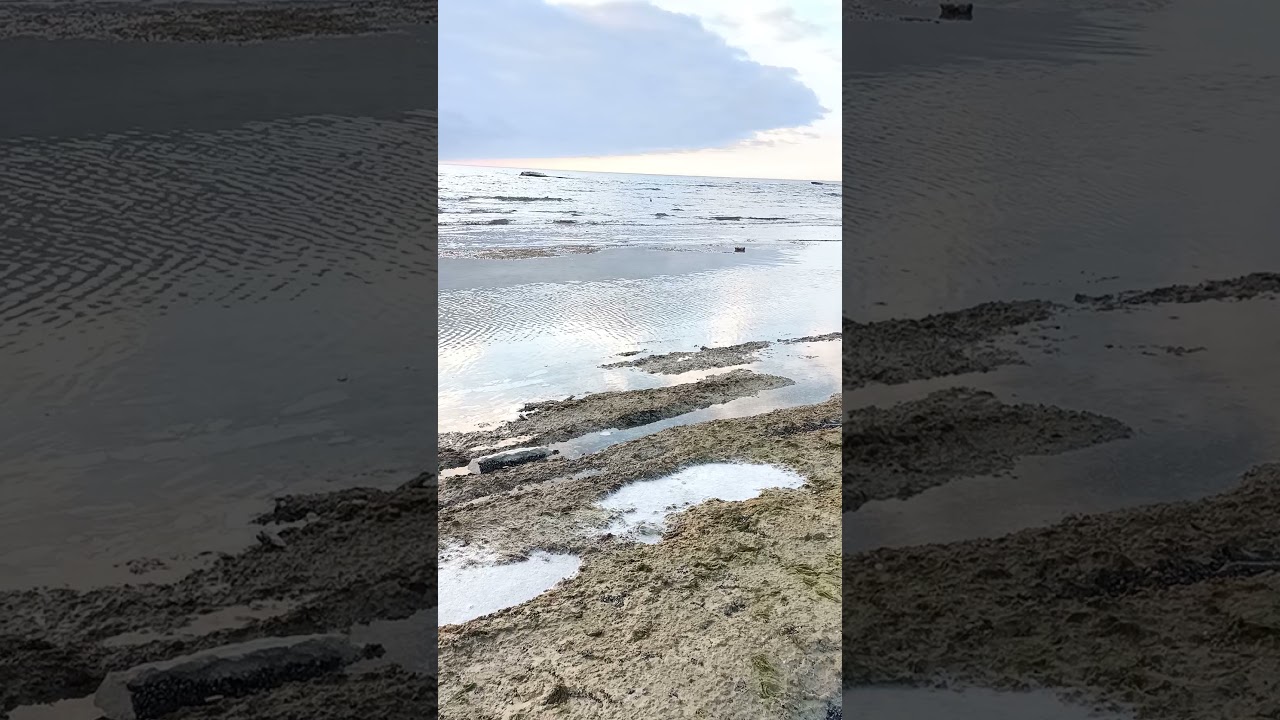 Мелеющее море в средней азии. Мелеющее море в средней азии