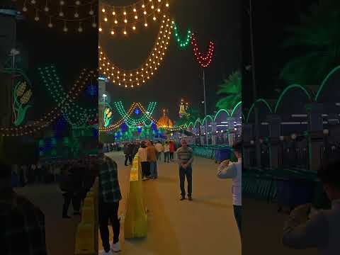 صباح صباح الخير صباح الورد صباح الخير يا مصر صباح لايك اشتراك أسعد الله ايامكم سعيدة 