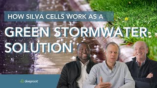 DeepRoot Silva Cells as a Green, LID Stormwater Tool