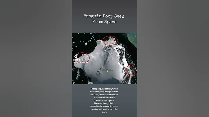 Penguin🐧 poop💩 seen from space🛰