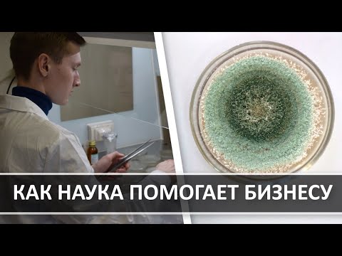 Эффективность биопрепаратов | технология in vitro | взаимодействие науки и бизнеса