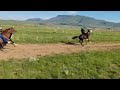 Traditional Horse Racing KwaNobhonga MP 23 11 2025 