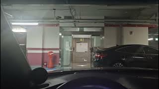 Moon River - Carla Bruni