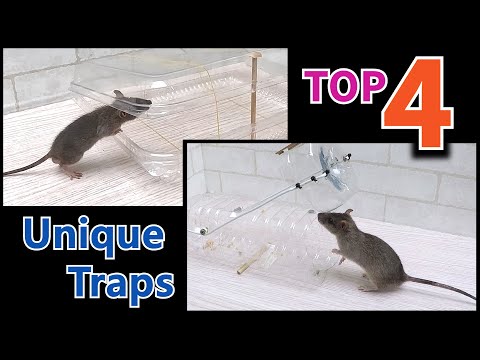4 Unique mouse/rat traps 