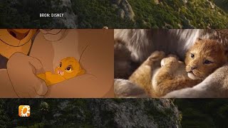 Uniek Kijkje Achter De Schermen Van The Lion King - Rtl Boulevard