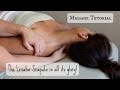 Massage Tutorial: The LEVATOR SCAPULA!