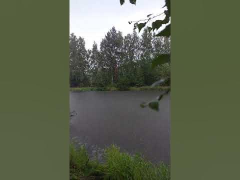 #дождь #погода #нарыбалке #река как то на речке... - YouTube