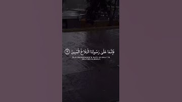 تلاوة قصيرة هادئة بصوت القارئ رعد الكردي