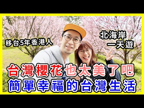 【台灣旅遊】台灣櫻花原來這麽美，簡單幸福的台灣生活 | 淡水天元宮櫻花季 #台北旅遊 #台灣櫻花