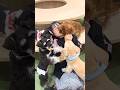 犬飼ったら絶対カースト最下位お姉ちゃん