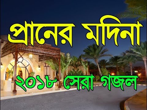 সোনার-মদিনা-আমার-প্রানের-মদিনা-bangla-islamic-song-hamd