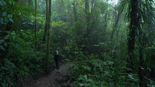 Monteverde Cloud   Forest Costa Rica