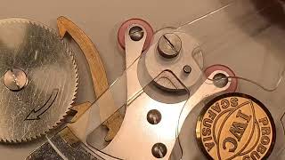IWC Model Automatic Winding System Albert Pellaton
