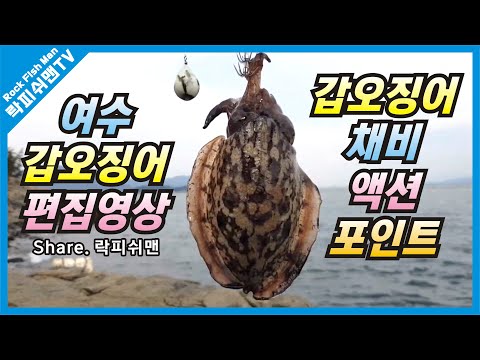 갑오징어 채비 액션 포인트 [여수 갑오징어낚시 편집영상입니다.]