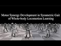 Motor Synergy Development in Symmetric Gait ofWhole-body Locomotion Learning (ICRA2023 video)