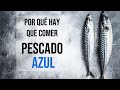 La MICROBIOTA cambia todos los días. ¿Cómo ALIMENTARSE correctamente? 🍏🐟🥑🥣