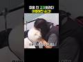 미용 전 교감하려다 아찔해진 순간!