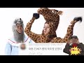 스트레이키즈 토끼와 거북이 댓글모음 스트레이키즈 토끼와 거북이 댓글모음