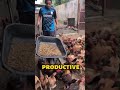 Nature’s Most Brutal Recycling System