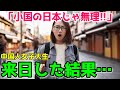 【海外の反応】中国人学生「小国日本が世界経済を牽引してたなんて嘘だ!」そう思っていた中国人女子大生が来日した瞬間、全てが吹っ飛ぶ…!