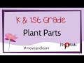 Plant Parts and Movements Quiz