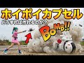 ホイポイカプセルは作れるのか？ドラゴンボールのホイポイカプセルが未来で実現できるのか科学的に考察します。