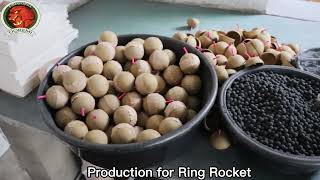 How to make the Rocket Fireworks with ring effects/Doremi Fireworks/Liuyang Fireworks/Rocket