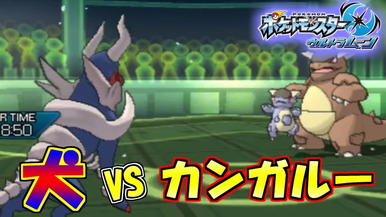 ポケモン 犬vsカンガルー ウルトラサン ウルトラムーン ポケモンusum Youtube