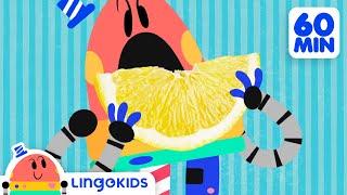 THE BEST OF BABY BOT   Educational Cartoons Compilation | Lingokids