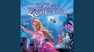 Video thumbnail of "De Kleine Zeemeermin - De Eeuwige Vlam"