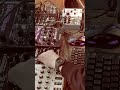 Jomox T-Resonator II, Waldorf Fable &amp; Dreadbox Disorder. I love it.
