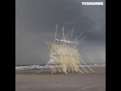 Theo Jansen et ses incroyables sculptures animées par le vent 