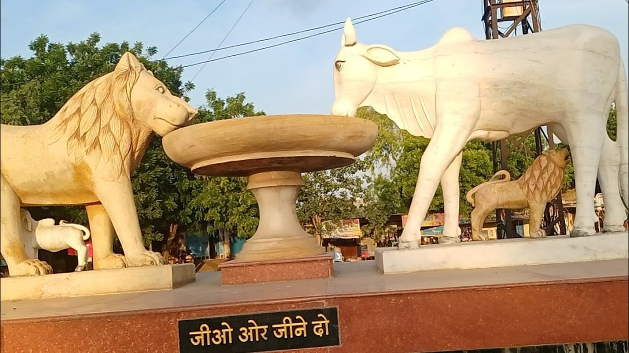 Ahinsa Circle C Scheme Pin Code
