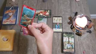 Virgo General Tarot Reading (September 5-11, 2016)