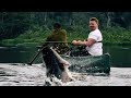 Arapaima - Rumble in the Jungle