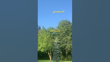 #like_subscribe_share #lamasat #اكسبلور #قران_كريم #السديس #تلاوة_خاشعة #explore #قران #لمسات_حسناء#