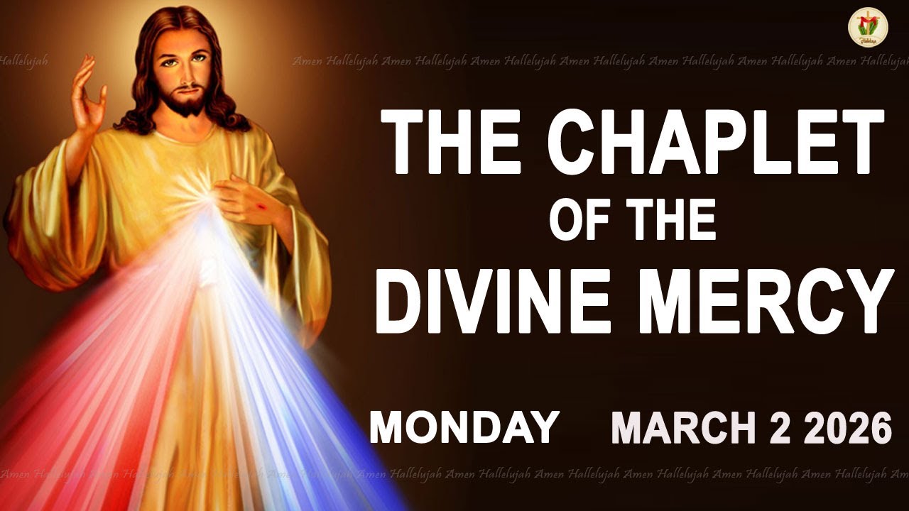 Chaplet Of The Divine Mercy I Monday March 2 2026 I Daily Divine Mercy Prayer