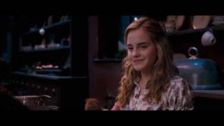 Ron and Hermione- Enchanted