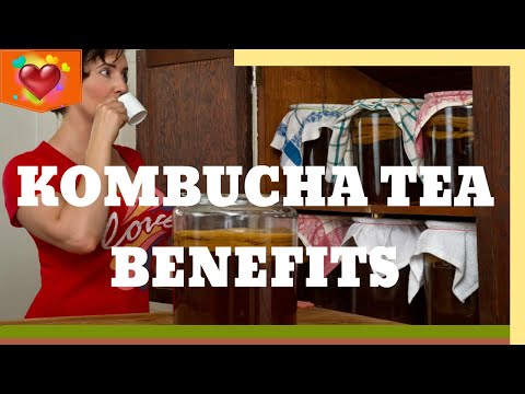 Health Benefits Of Kombucha Tea