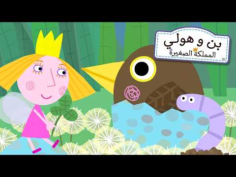 بن وهولي 👑 التعرّف على طائر صغير ضائع 🐦🥺 كرتون تعليمي للأطفال