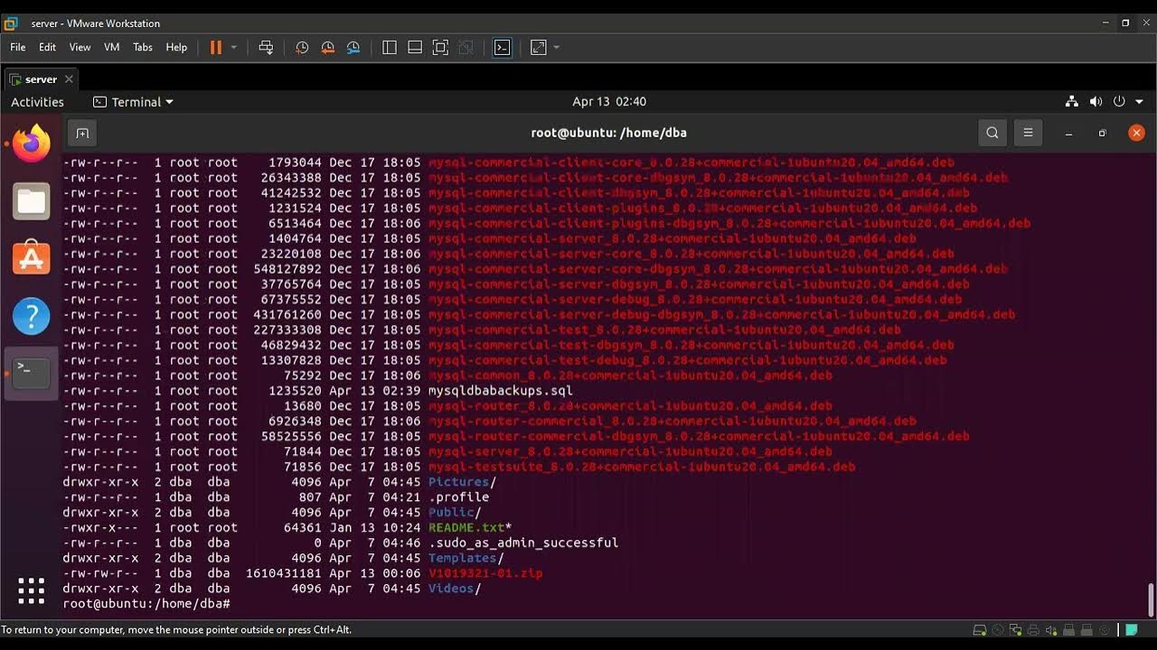 Case_insensitive setting in Mysql ubuntu 20.04 lower case table
